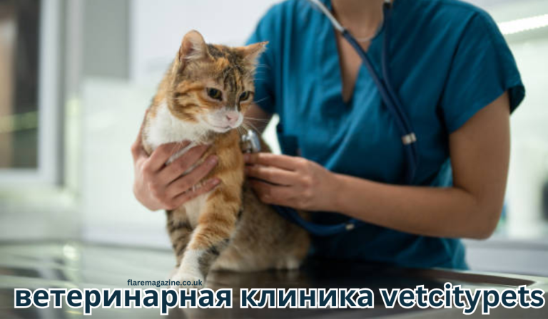ветеринарная клиника vetcitypets Taking Care of Your Pet Health