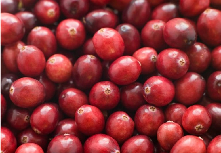 12 BEST Home Remedies For UTIs